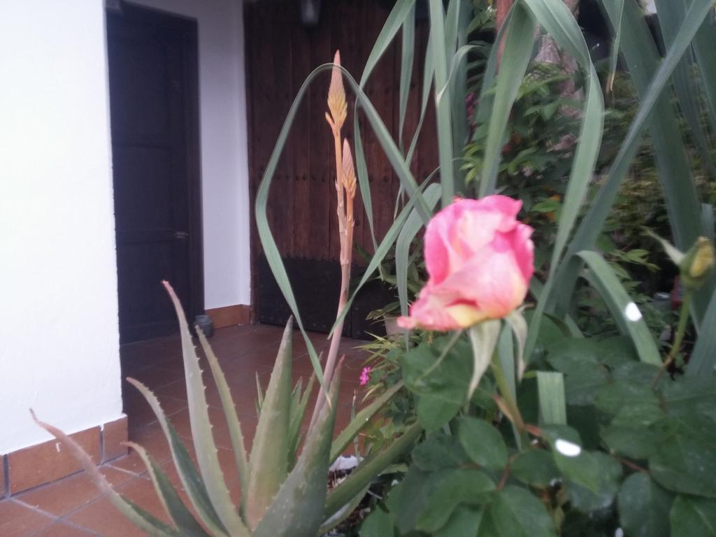 Balcon Del Velillos-"Rincon De Marcelo" Tozar Exterior foto
