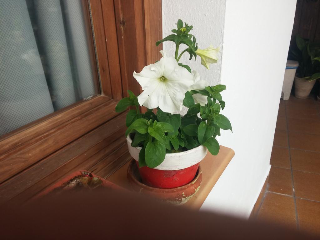 Balcon Del Velillos-"Rincon De Marcelo" Tozar Exterior foto