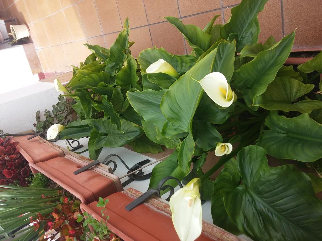 Balcon Del Velillos-"Rincon De Marcelo" Tozar Exterior foto